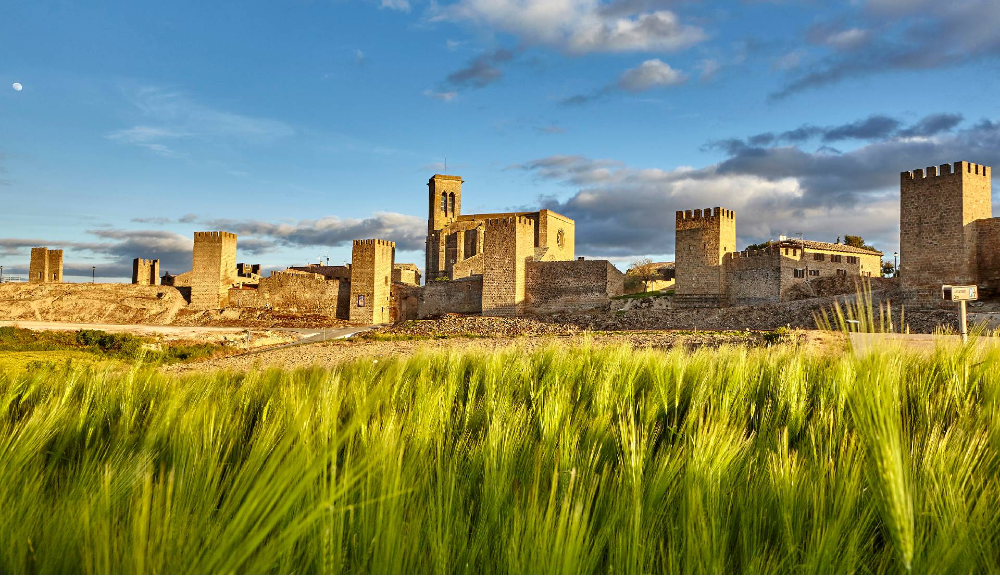 Cerco amurallado de Artajona con un primer plano de campo de cereal